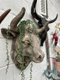 Cow Head Wall Mount – Stone Effect Animal Sculpture | Rustic Farmhouse Decor