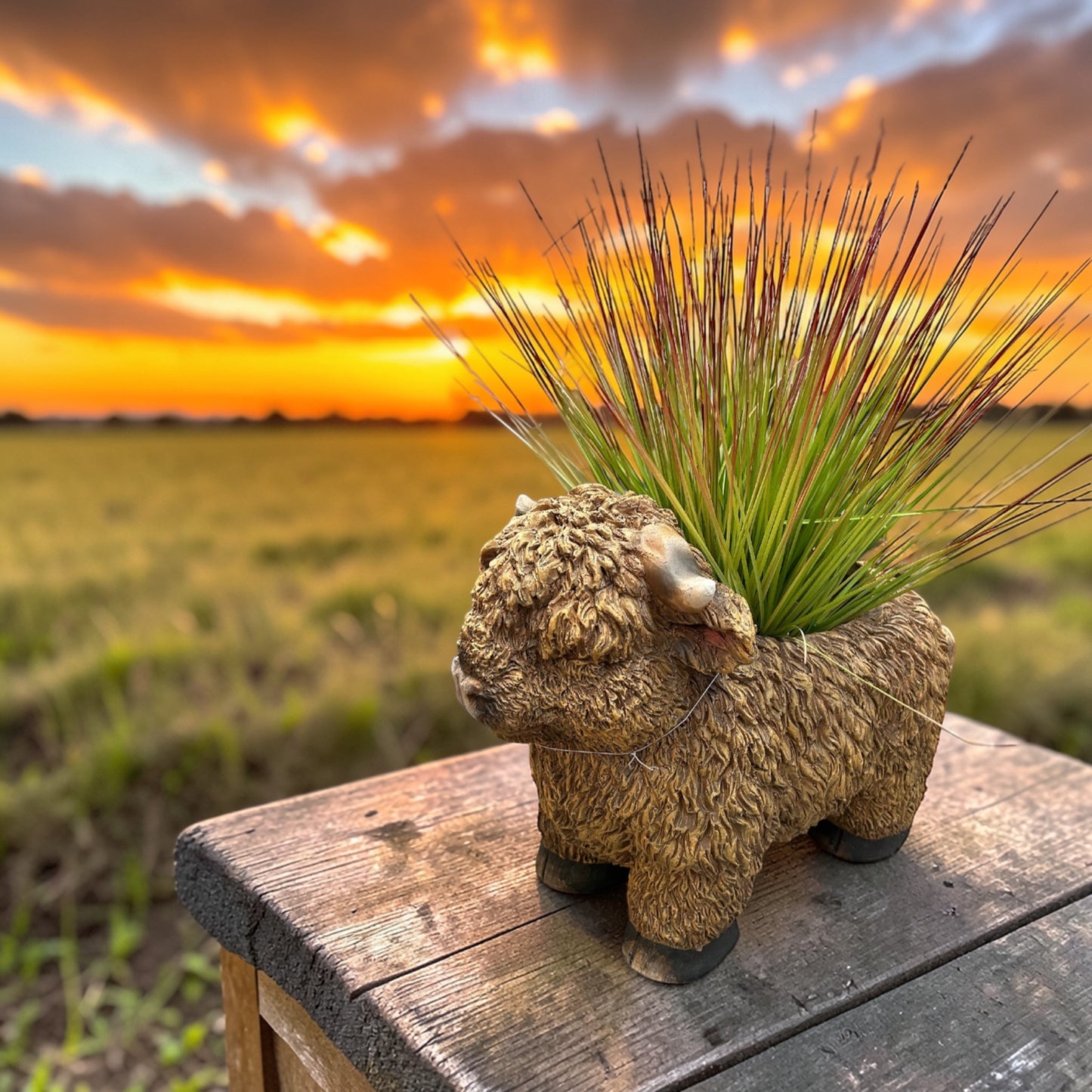 Highland Cow Planter – Rustic Animal Plant Pot