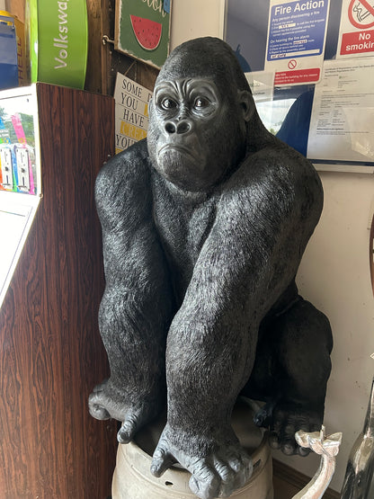 Large Resin Sitting Gorilla – Durable Indoor/Outdoor Sculpture | Sign of the times Stoke