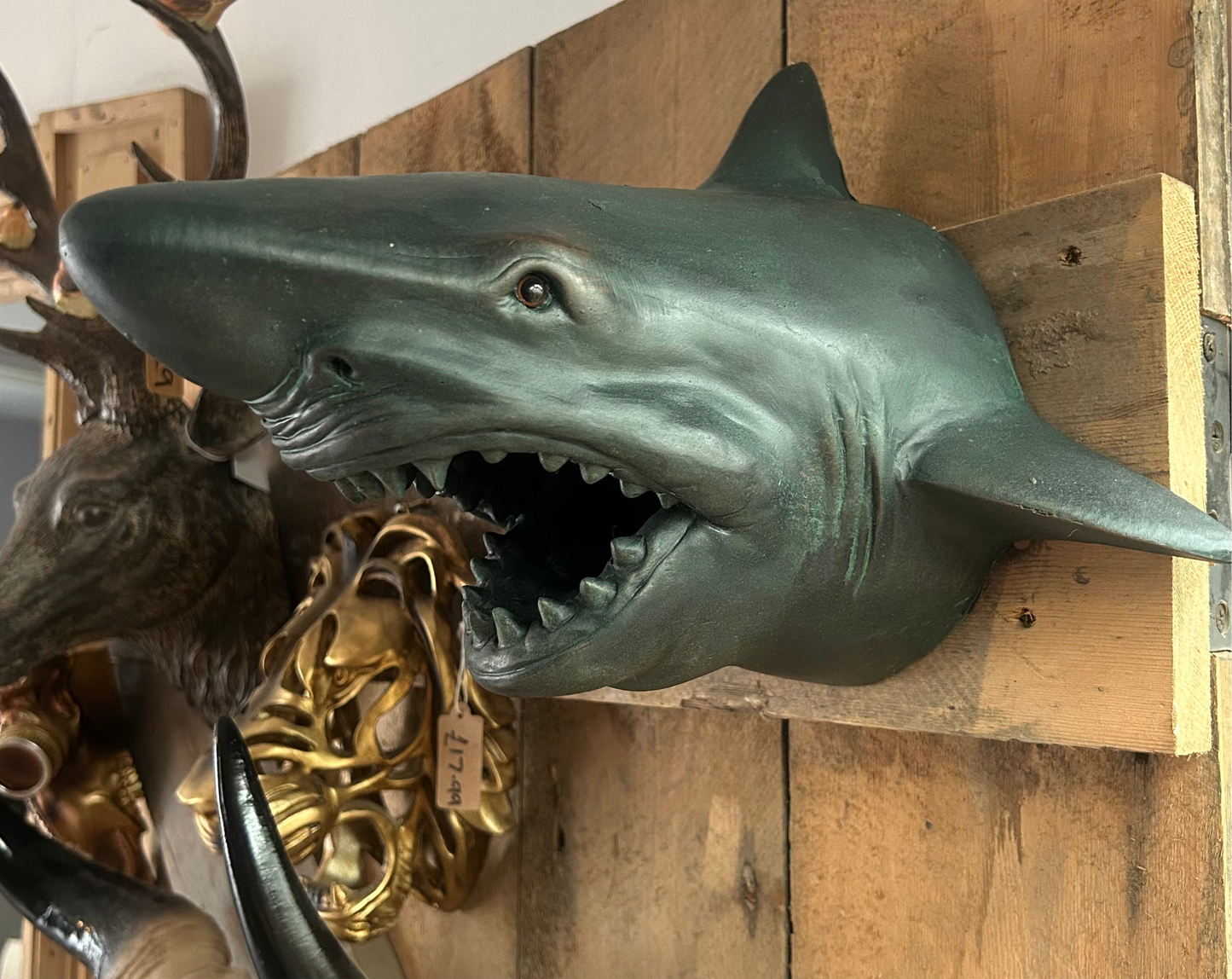 Shark Head Wall Mount – Bold Ocean Predator Decor