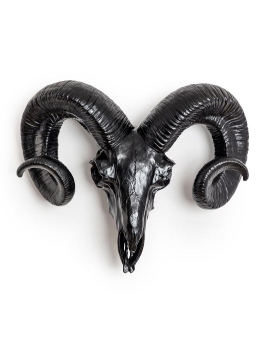 Matt Black Ram Skull Wall Head - Stylish Resin Wall Decor | Sign of the times Stoke