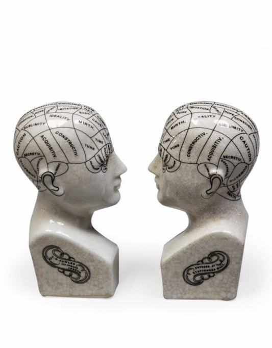 Antiques ceramic phrenology head bookends/ornaments