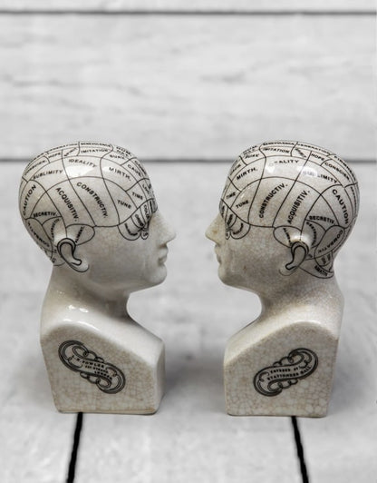 Antiques ceramic phrenology head bookends/ornaments