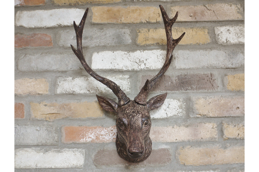 Stags Head Wall Mount - Natural Brown Resin Deer Head | Sign of the times Stoke