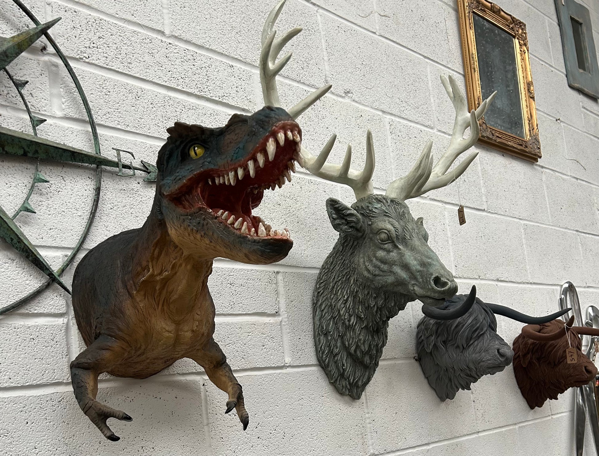 T-Rex Wall Mount – Resin Dinosaur Head with Free Shipping | Sign of the times Stoke