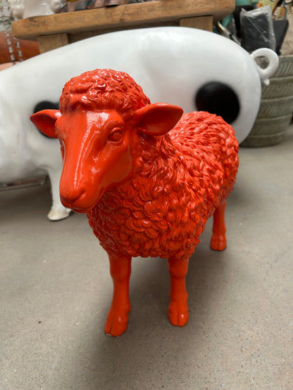Orange Lamb