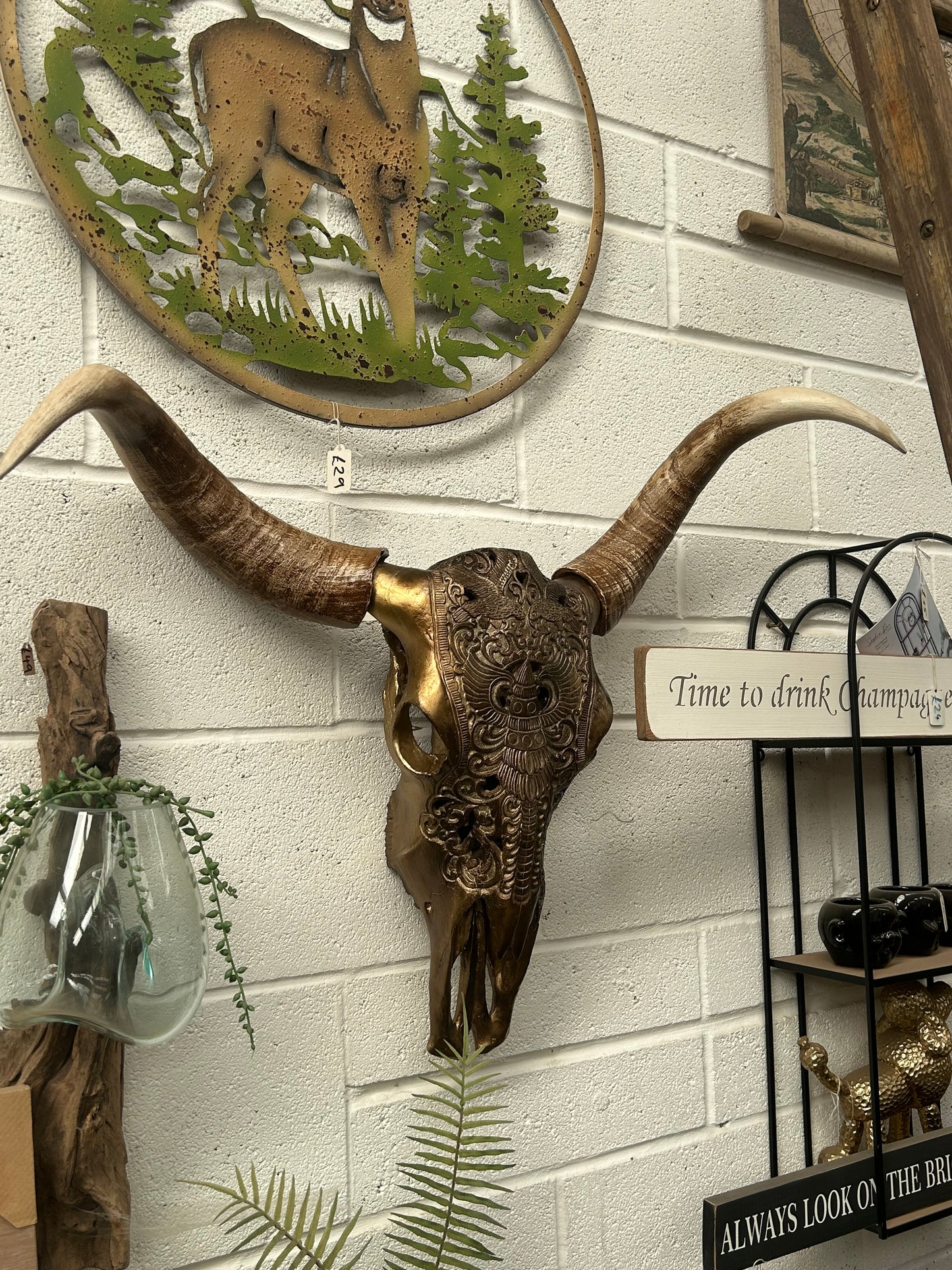 Arizona Desert Skull – Large Statement Wall Décor