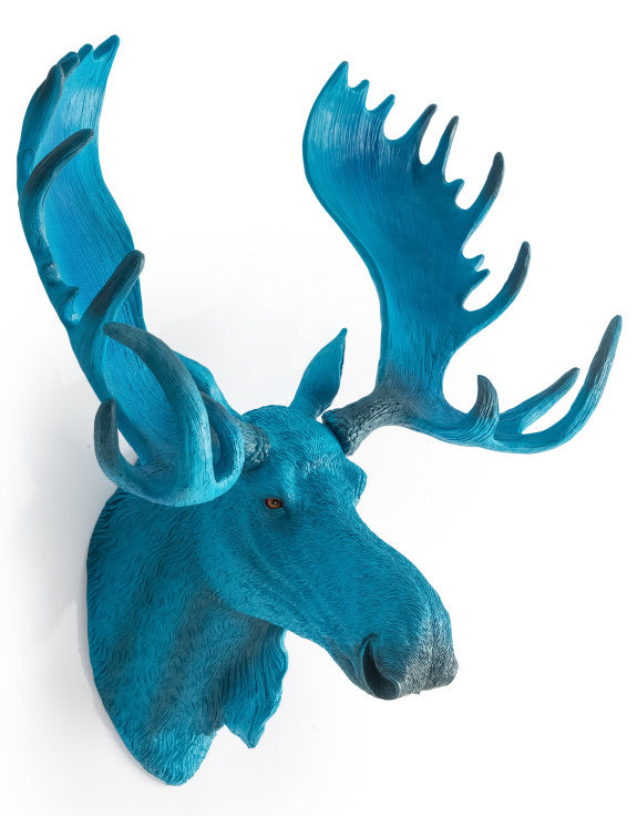 Electric Blue Moose Wall Head – Quirky Resin Wall Décor | Sign of the times Stoke