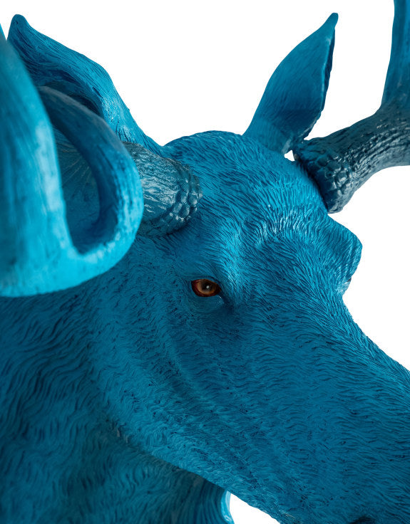 Electric Blue Moose Wall Head – Quirky Resin Wall Décor | Sign of the times Stoke