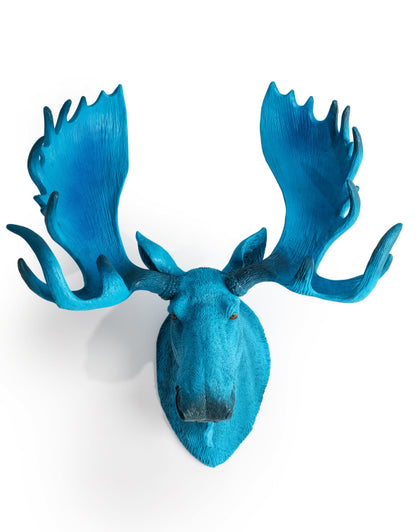 Electric Blue Moose Wall Head – Quirky Resin Wall Décor | Sign of the times Stoke