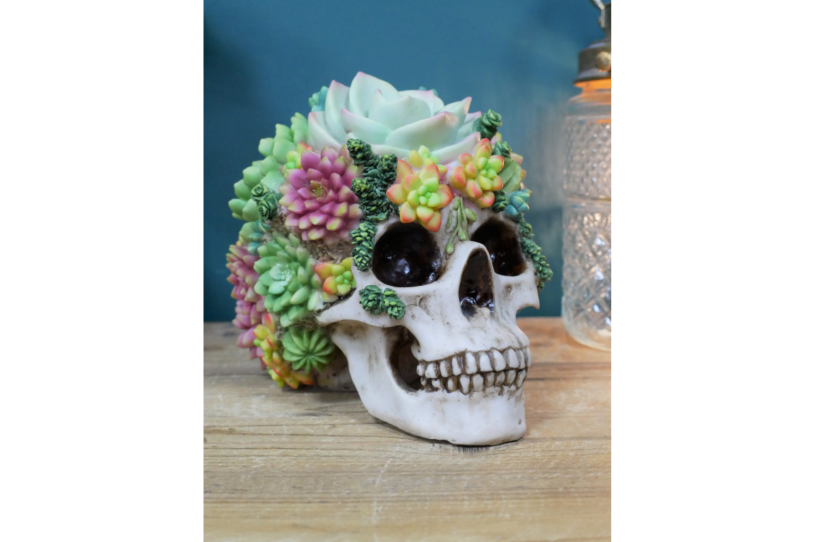 Flowered Skull - Unique Resin Skull Decor with Succulent Accents | Sign of the times Stoke