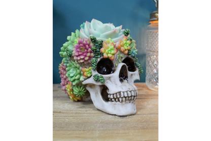 Flowered Skull - Unique Resin Skull Decor with Succulent Accents | Sign of the times Stoke