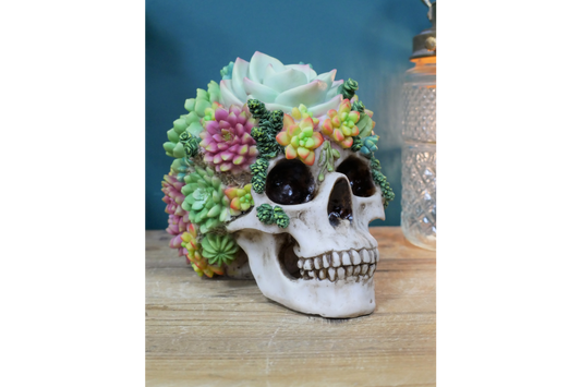 Flowered Skull - Unique Resin Skull Decor with Succulent Accents | Sign of the times Stoke