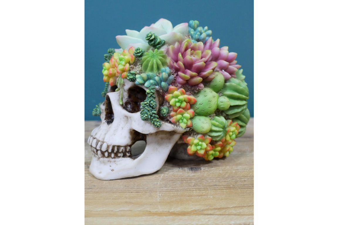 Flowered Skull - Unique Resin Skull Decor with Succulent Accents | Sign of the times Stoke