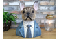 Large Frenchie Dog Bust – Stylish French Bulldog Sculpture