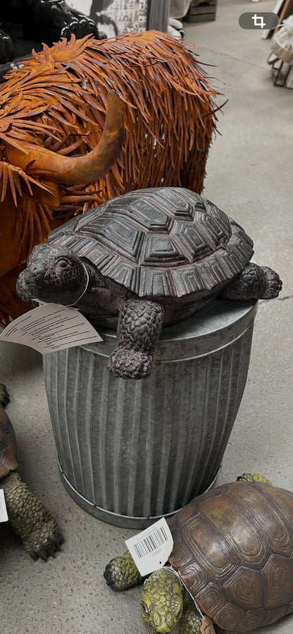 Decorative Tortoise Ornament – Nature-Inspired Home & Garden Décor | Sign of the times Stoke