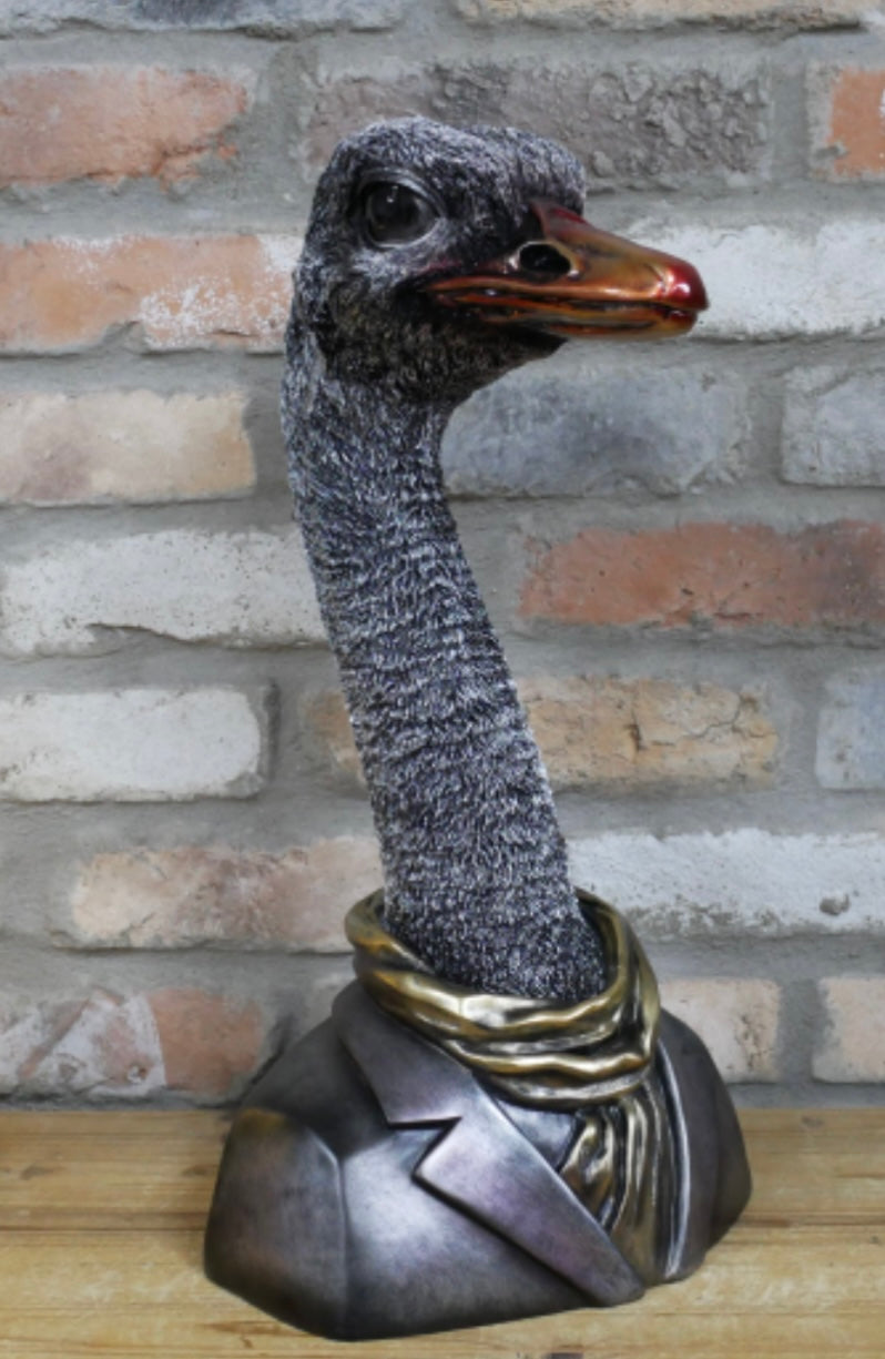 Ostrich Bust – Detailed Resin Sculpture of “Emu” | Sign of the times Stoke