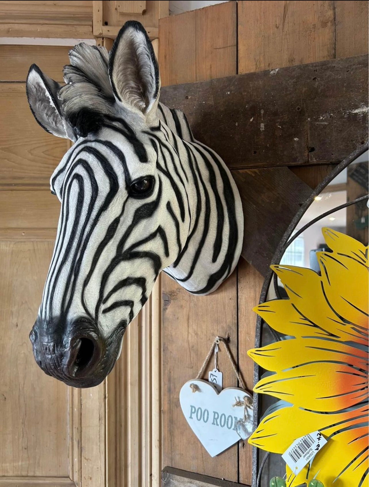 Zebra Wall Mount - Stunning Safari-Inspired Wall Decor | Sign of the times Stoke