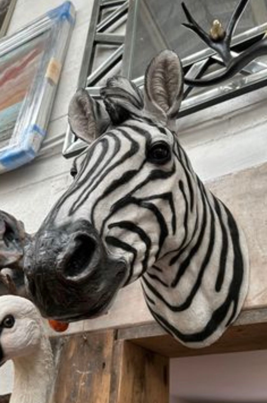 Zebra Wall Mount - Stunning Safari-Inspired Wall Decor | Sign of the times Stoke