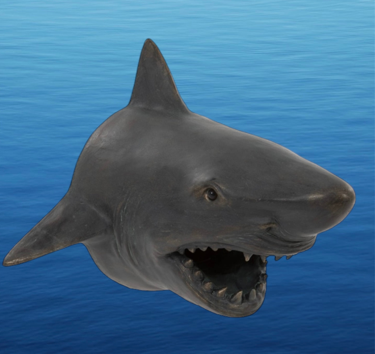 Shark Head Wall Mount – Bold Ocean Predator Decor