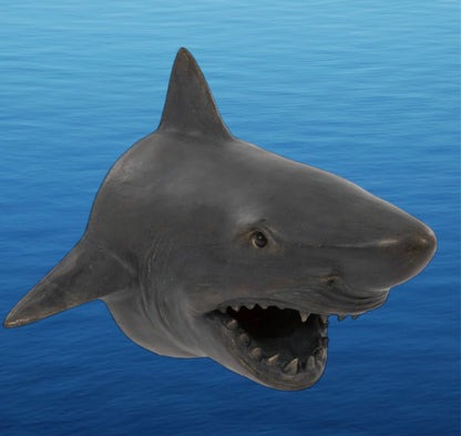 Shark Head Wall Mount – Bold Ocean Predator Decor
