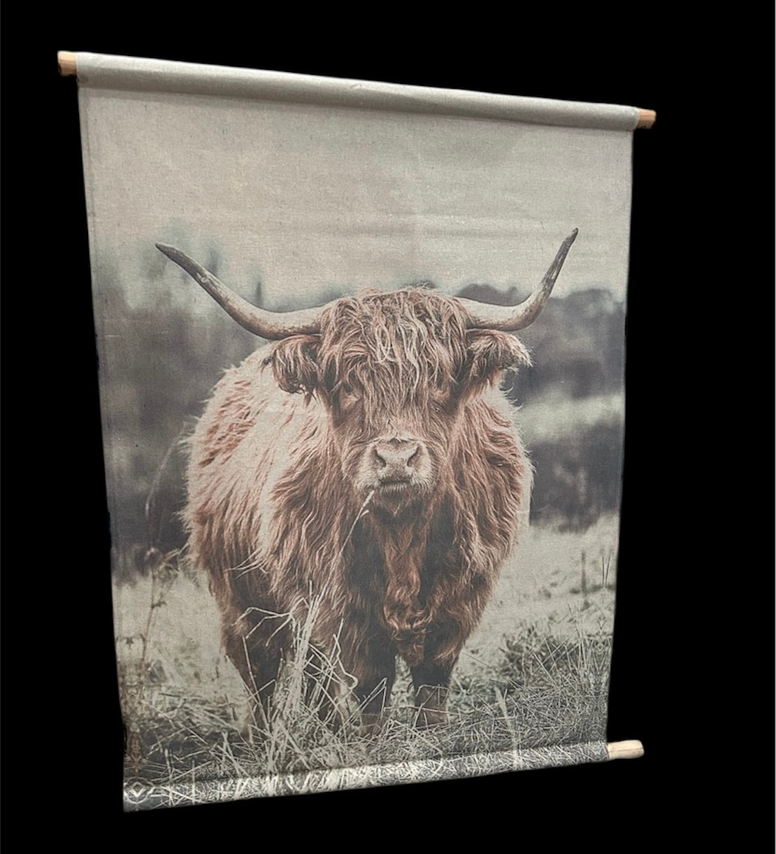 Highland Cow Canvas Wall Art - Rustic Farmhouse Hanging Décor