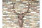 Giant Brown Stag Head – Grand Statement Wall Mount