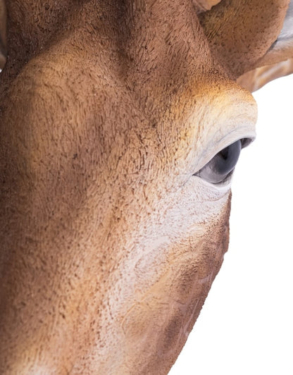 Large Giraffe Wall Head – Eye-Catching Safari Animal Wall Decor