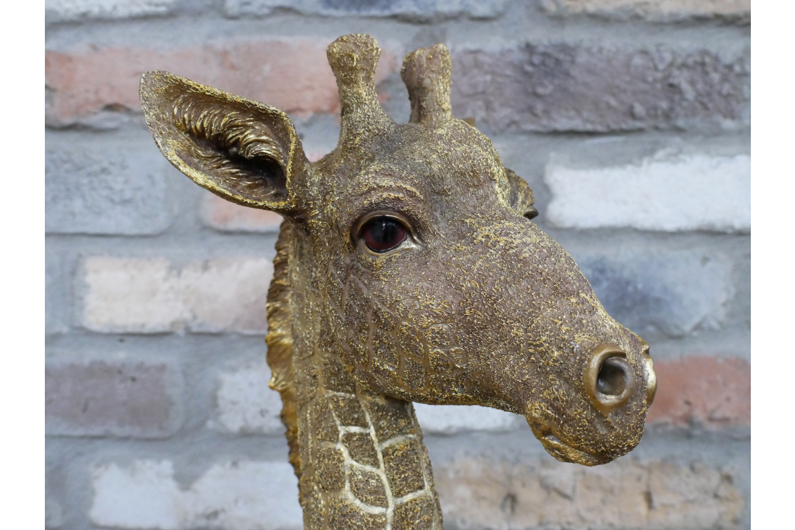 Detailed Resin Giraffe Bust – Elegant Free-Standing Sculpture | Sign of the times Stoke