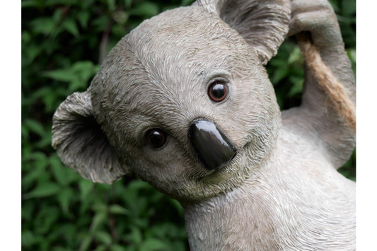 Hanging Koala Sculpture – Intricate Garden or Home Decor | Sign of the times Stoke