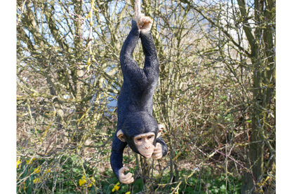 Hanging Monkey on Rope - Cute Resin Monkey Figurine | Sign of the times Stoke