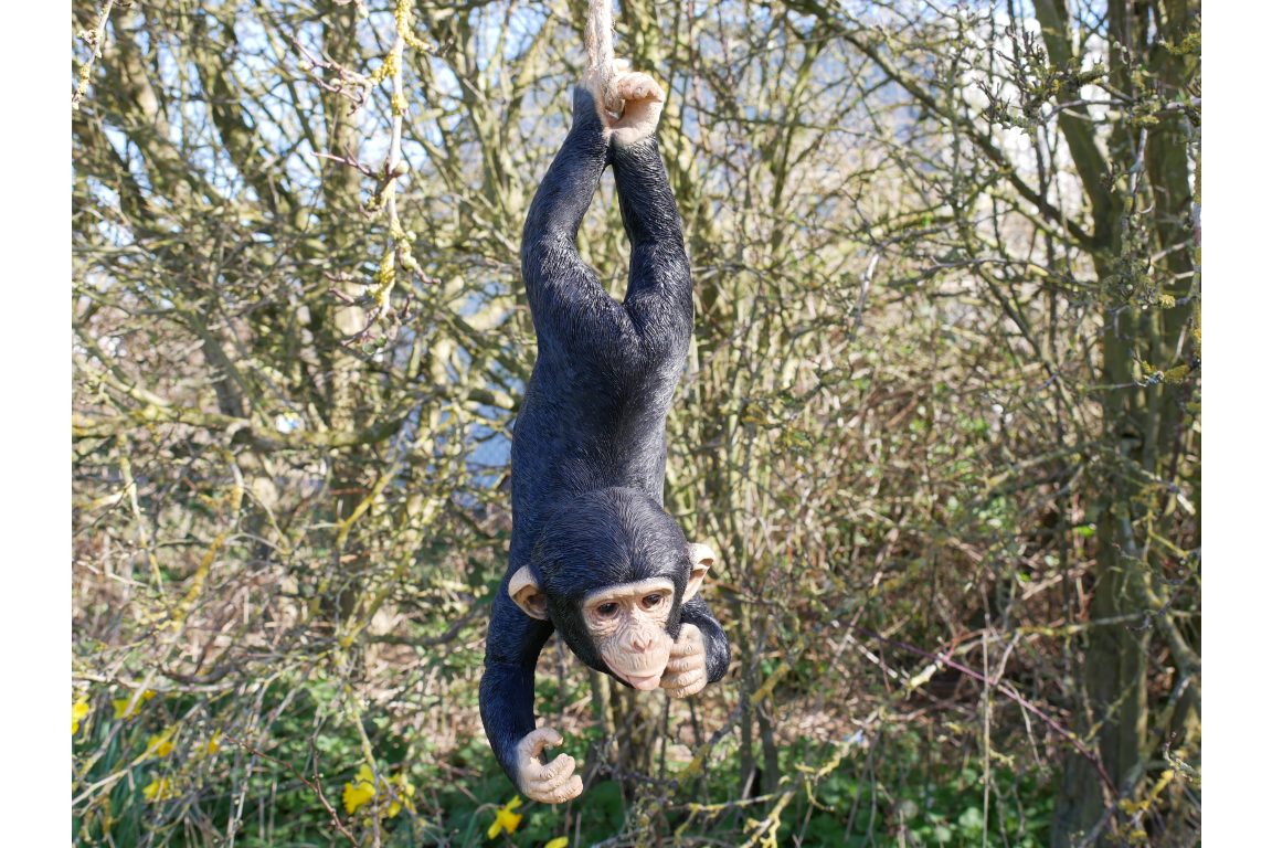Hanging Monkey On Rope
