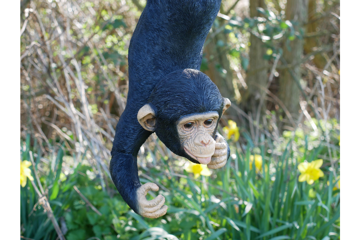 Hanging Monkey on Rope - Cute Resin Monkey Figurine | Sign of the times Stoke