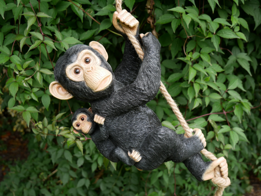 Hanging Monkey & Baby