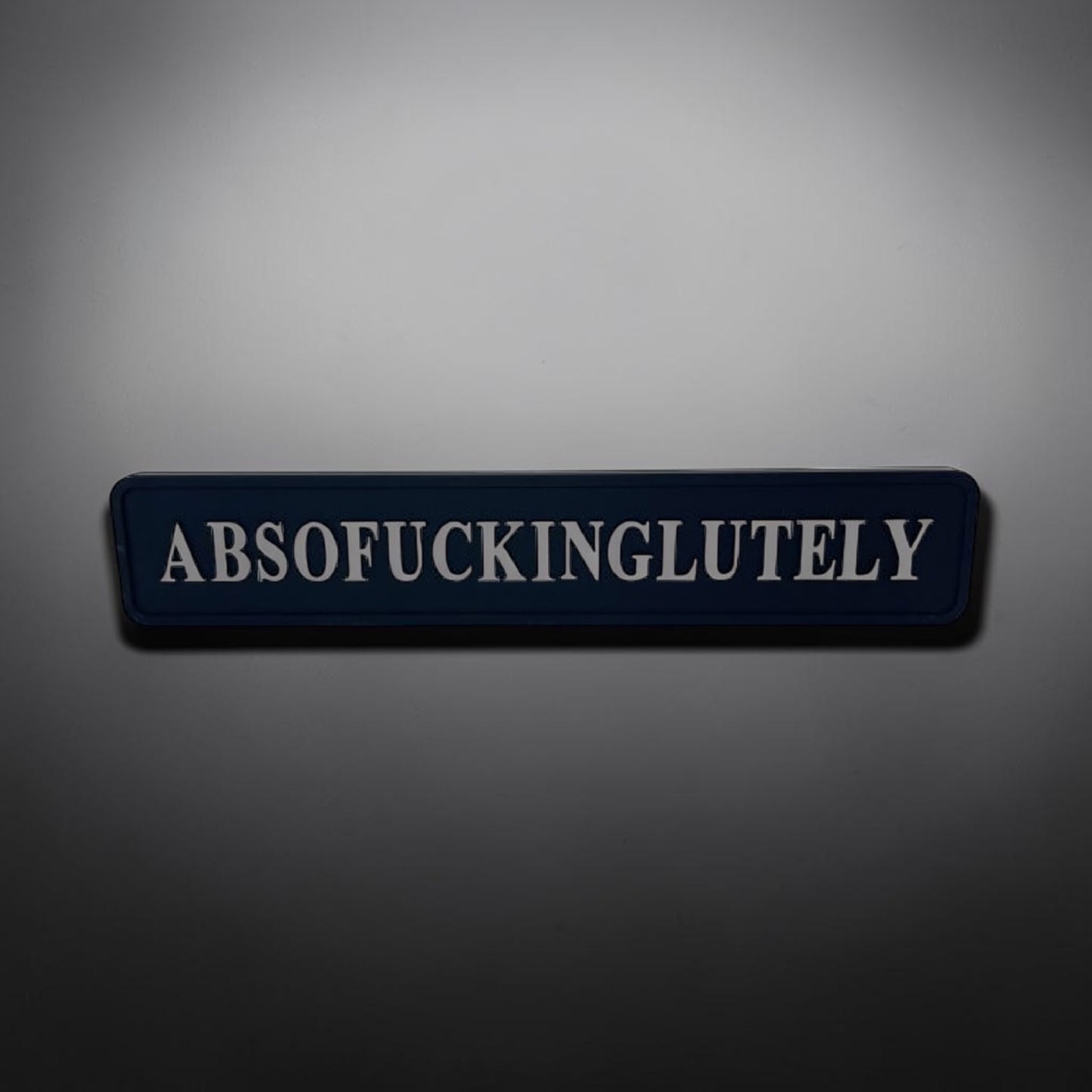 “Absof**inglutely” Wall Sign – Bold Black & Silver Statement Décor