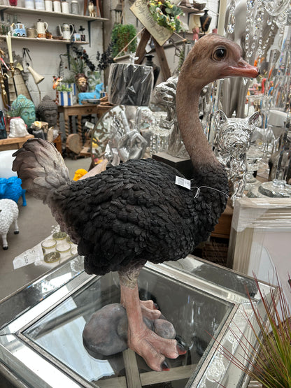 Ostrich Sculpture – Large Decorative Animal Ornament