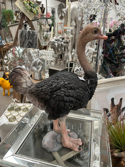 Ostrich Sculpture – Large Decorative Animal Ornament