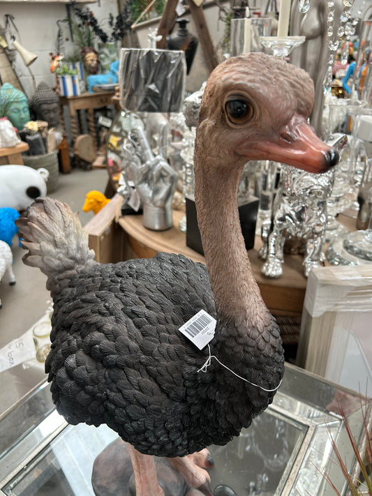 Ostrich Sculpture – Large Decorative Animal Ornament