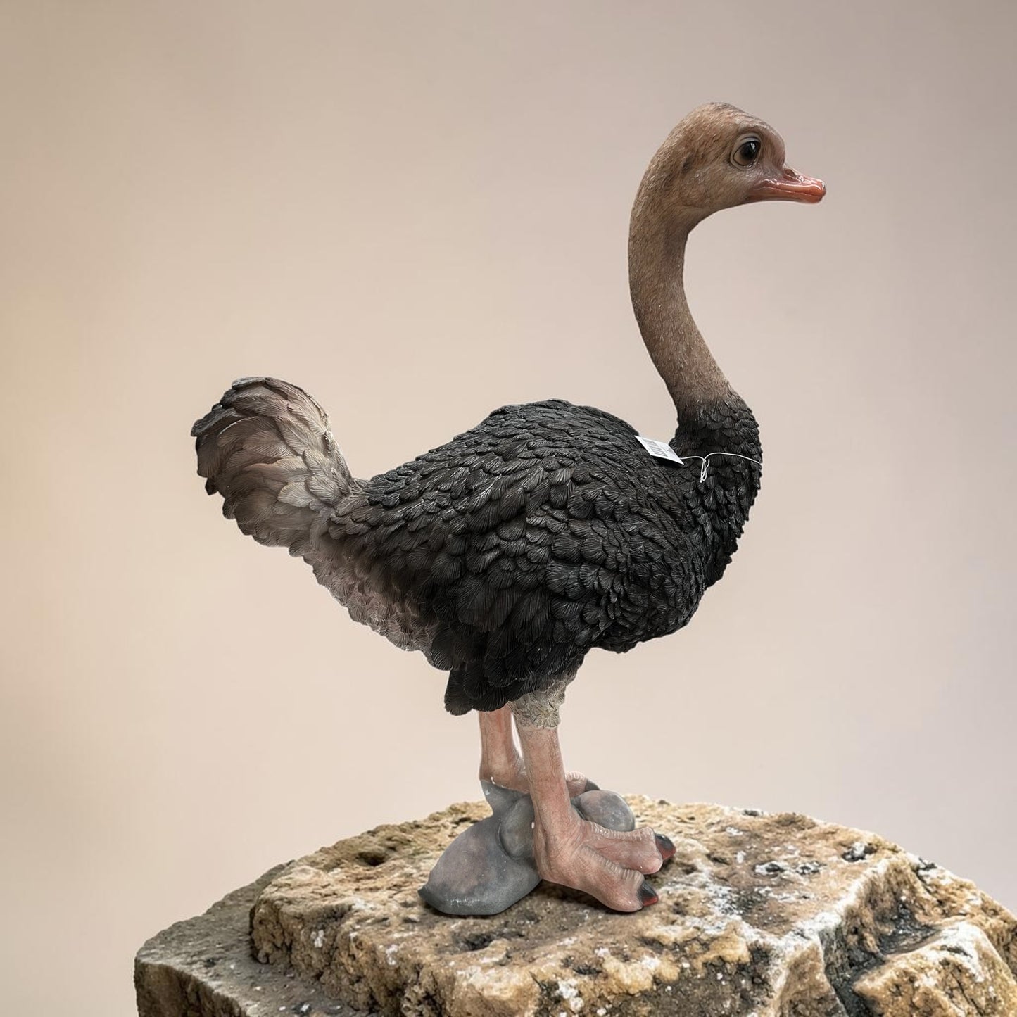 Ostrich Sculpture – Large Decorative Animal Ornament | Sign of the times Stoke