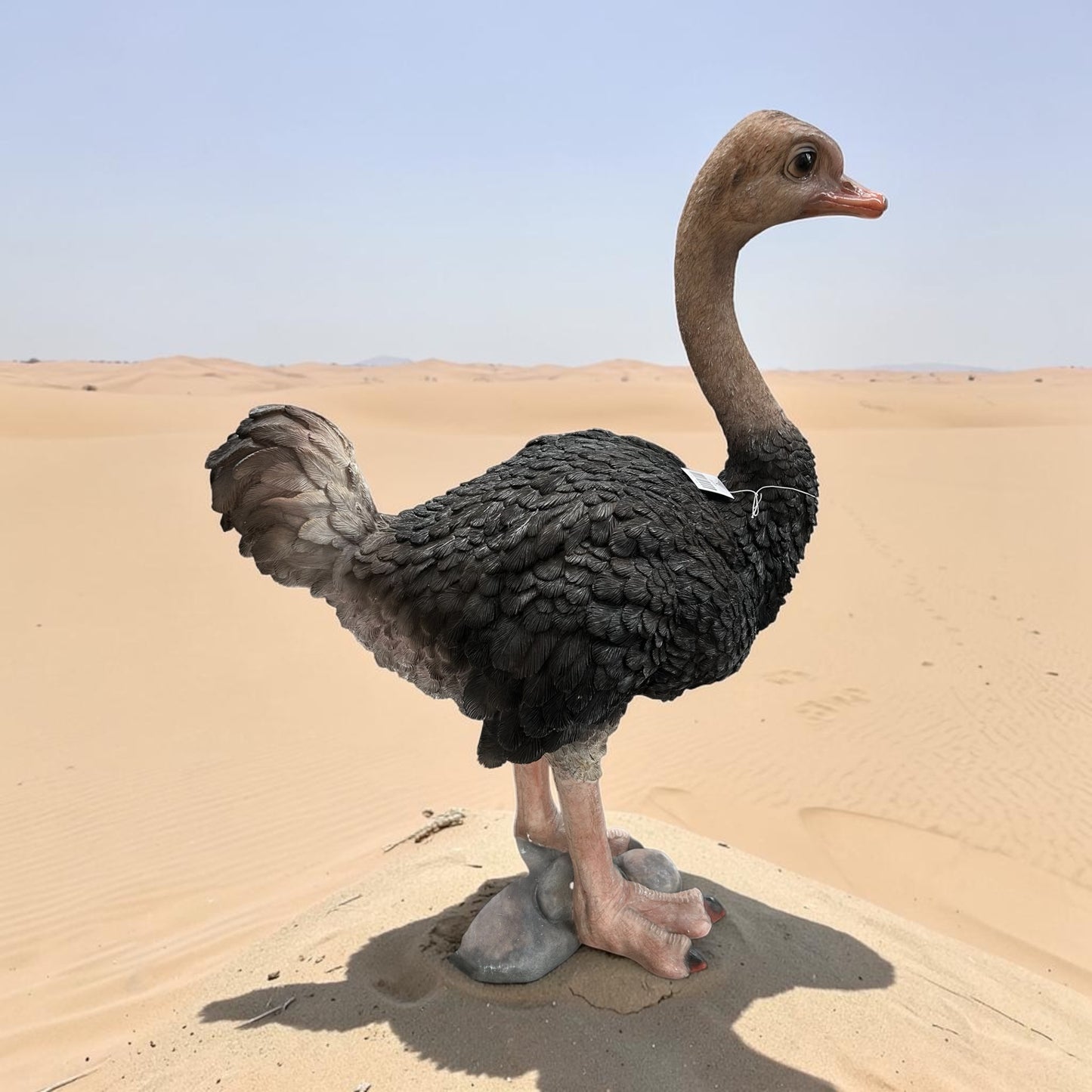 Ostrich Sculpture – Large Decorative Animal Ornament | Sign of the times Stoke