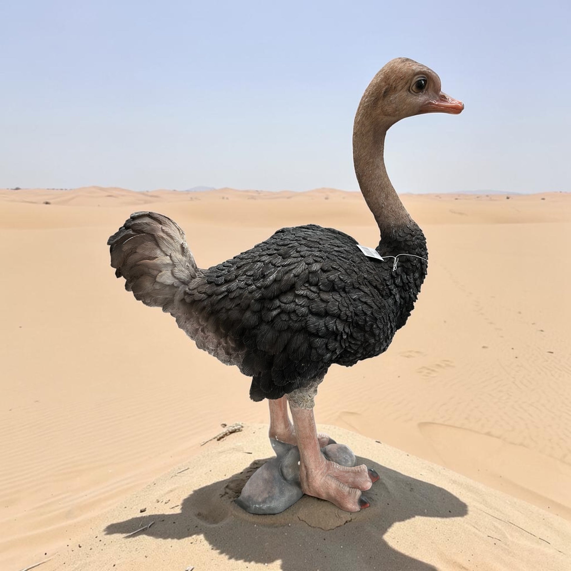 Ostrich Sculpture – Large Decorative Animal Ornament | Sign of the times Stoke