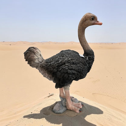 Ostrich Sculpture – Large Decorative Animal Ornament | Sign of the times Stoke