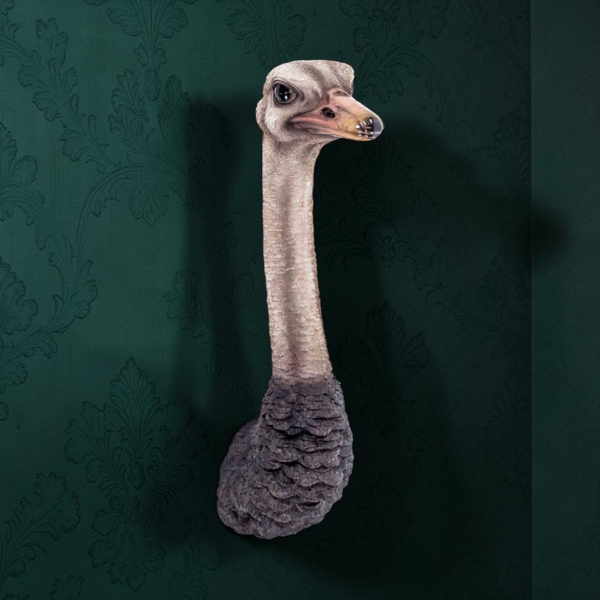 Stunning Ostrich Wall Mount – Realistic Resin Art | Sign of the times Stoke