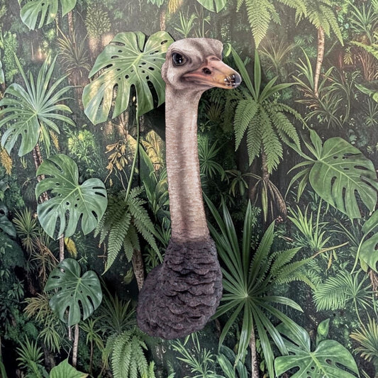 Stunning Ostrich Wall Mount – Realistic Resin Art | Sign of the times Stoke