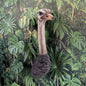 Stunning Ostrich Wall Mount – Realistic Resin Art | Sign of the times Stoke
