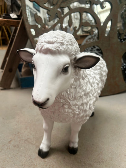 Resin Lamb | Sign of the times Stoke