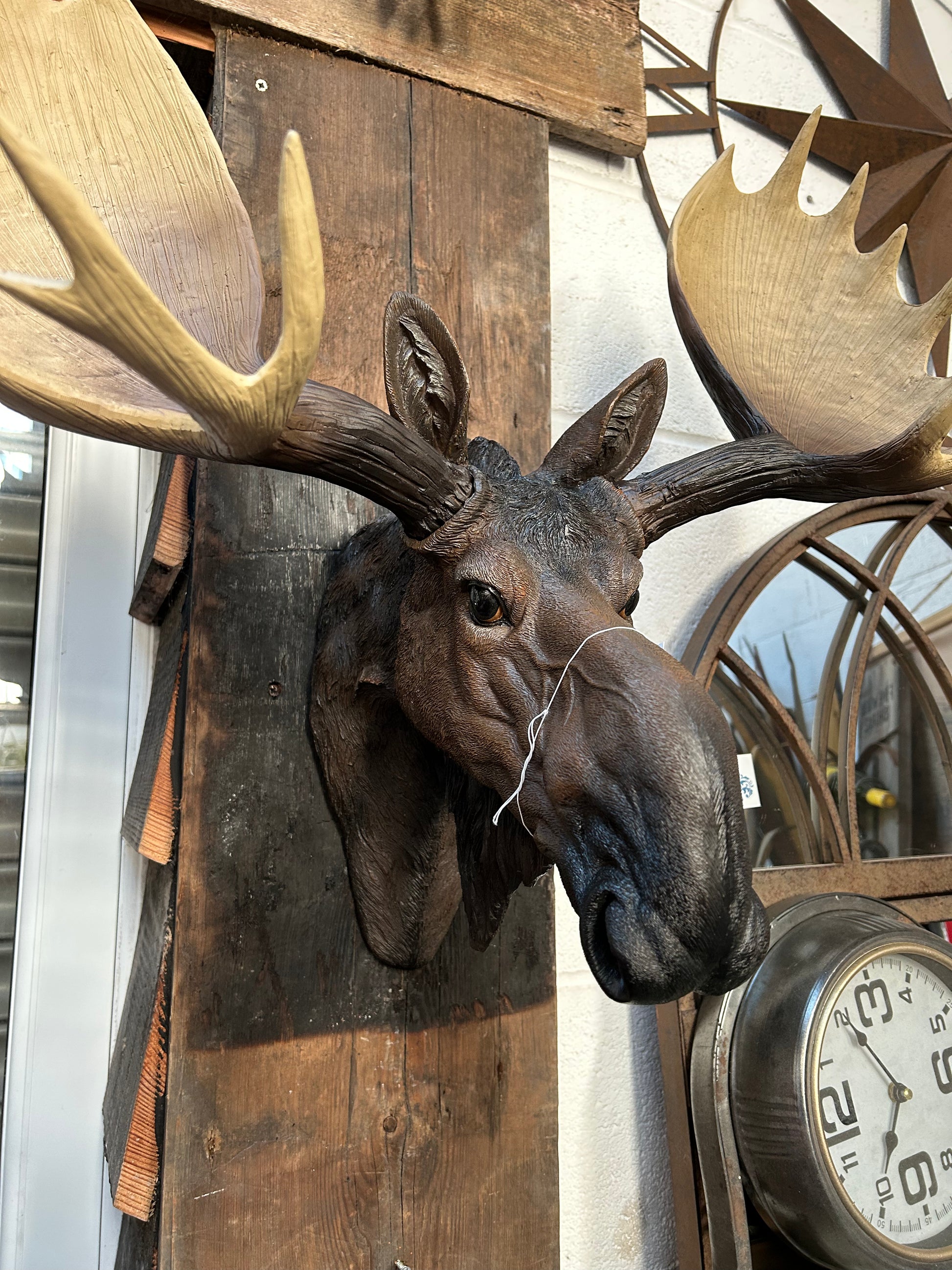 Realistic Moose Wall Mount – Exquisite Rustic Wall Head Decoration | Sign of the times Stoke