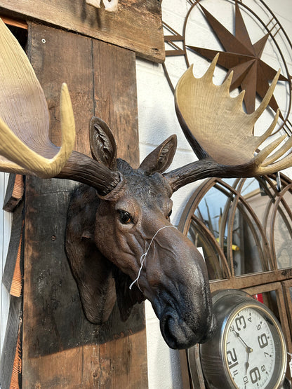 Realistic Moose Wall Mount – Exquisite Rustic Wall Head Decoration | Sign of the times Stoke