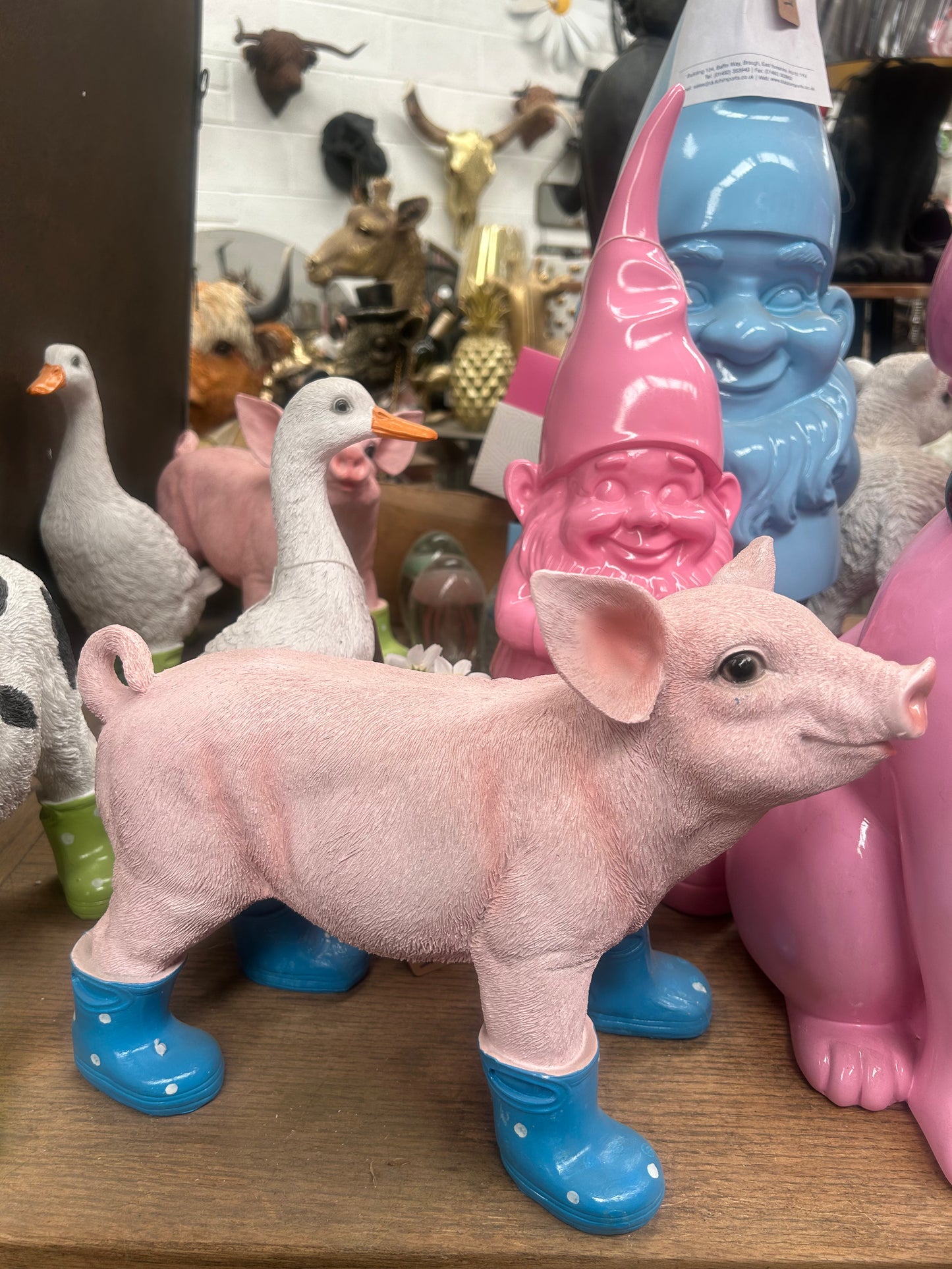 Pig with wellies