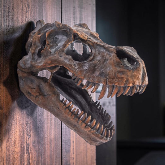 Large T-Rex Dinosaur Head Wall Mount - Stunning Prehistoric Decor | Sign of the times Stoke